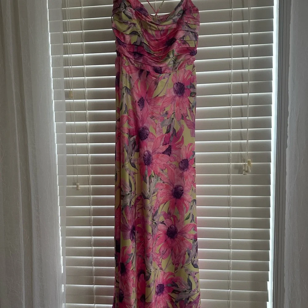 ASTR The Label Antlia Floral Pink and Green Maxi Dress - Picture 2 of 10